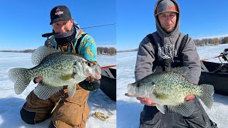 GIANT CRAPPIES ON PROTOTYPE LURE First Ice 2023 is Here [upl. by Hannie531]