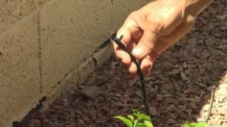 How To Fix A Drip Irrigation System [upl. by Inalaeham434]