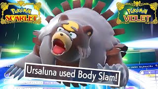 Ursaluna is a BEAST in Regulation H 96Pokémon Scarlet amp Violet WIFI Battles 3v3 Singles [upl. by Niltiak]