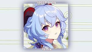 1900 Speed Gang TikTok Remix [upl. by Ellehcan]