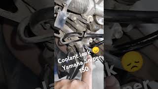 motorcycle check leak coolant [upl. by Travus463]