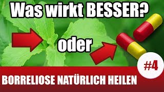 BorrelioseTherapie mit natürlichen Antibiotika Borreliose Behandlung natürlich 4 [upl. by Llenrub258]