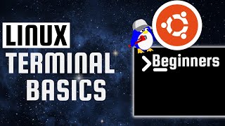 Linux Terminal Basics  Navigate the File System on Ubuntu [upl. by Layor823]