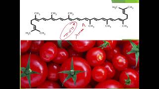 Applications of UV Visible spectroscopy  UVVisible Spectroscopy [upl. by Kyla]