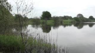 SMEATONS LAKES CARAVAN amp FISHING PARK GREAT NORTH ROAD NEWARKONTRENT NOTTINGHAMSHIRE [upl. by Grange875]