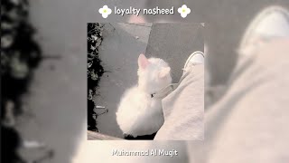 loyalty nasheedvocals only  MuhammadAlMuqit [upl. by Assirok]