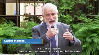 Ley de Presupuestos 2022 ¿Qué son las partidas presupuestarias y cuántas son [upl. by Link]