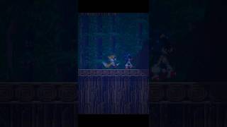 Rain Wood Zone  SonicEXE  Curse of the Abyss SonicExe Sonic Curse Abyss [upl. by Asemaj]