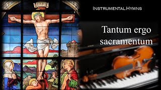 Tantum ergo sacramentum J S Bach  OrganViolin Cover [upl. by Lyris]