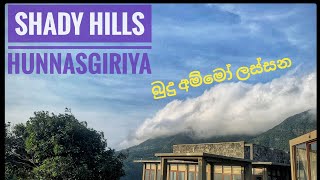 Our stay Shady Hills Hunnasgiriya Srilanka🇱🇰 නවතින්න හොදම තැන familyvlog hunnasgiriya srilanka [upl. by Okoyk]