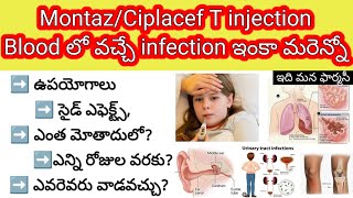 ceftriaxone  tazobactum injection in telugu  uses sideeffects precautions etc ciplacefTinj [upl. by Aicekan]