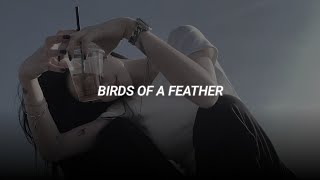 birds of a feather  billie eilish slowed  reverb [upl. by Coniah]