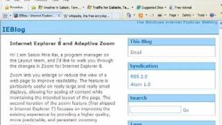 Accessibility options in Internet Explorer 8 [upl. by Barnaba]