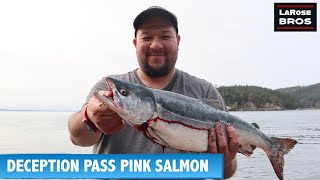 Best PINK SALMON FISHING in WA at Deception Pass  LaRoseBros [upl. by Fridlund]