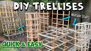 How to Make a Trellis Multiple Options and Skill Levels Full Tutorials amp Quick Walkthroughs [upl. by Constantia]