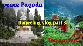 Darjeeling vlog part 3  Darjeeling tour 🥰 [upl. by Selena]