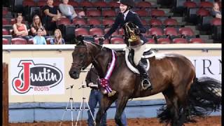 A Judges Perspective 2018 AQHYA Equitation Over Fences World Champion [upl. by Aidnyl]