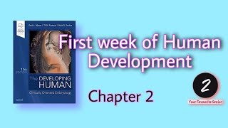 First week of Human Development  Chapter 2  Embryology  KLM [upl. by Nahtaoj]