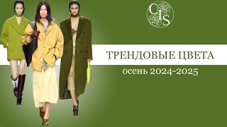 ТРЕНДОВЫЕ ЦВЕТА осеньзима 2025 [upl. by Aizek]