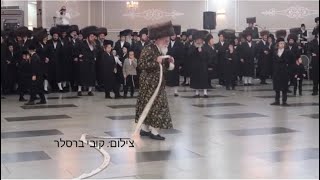 Viznitz Rebbe Dances Mitzvah Tantz [upl. by Hairabez]