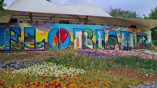 Floriade 2023 Canberra BestOfFlowersTV NatGeo discovery TravelGuidesAU australia flowers [upl. by Rhianon]