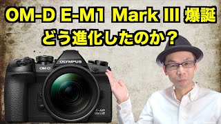 【新型ミラーレスカメラ】オリンパス OMD EM1 Mark III 爆誕！どう進化したのか？【スペック比較：EM1 Mark II  EM1X  EM5 Mark III】4K [upl. by Ydnolem825]