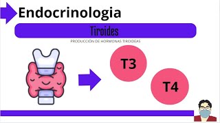 Sintesis de Hormonas Tiroideas  Endocrinologia de la Tiroides  sintesis de T3 y T4 [upl. by Nnylcaj]