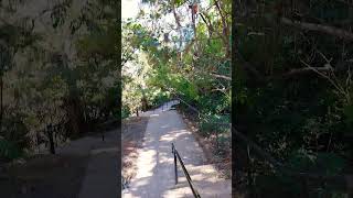 Katoomba Falls Blue Mountain sydney australia travel [upl. by Neiv929]