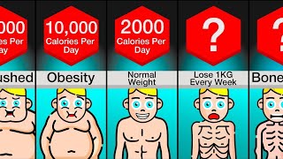 Comparison Your Body At  Calories Per Day [upl. by Sidwohl]