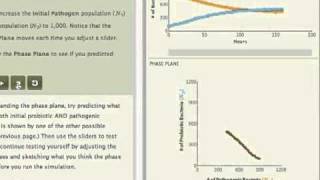 Competition Chapter in SimUText Ecology [upl. by Dukie]