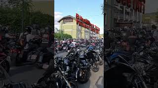 Bikeweek Harley Davidson Treffen Faaker See 2024 [upl. by Pontias]