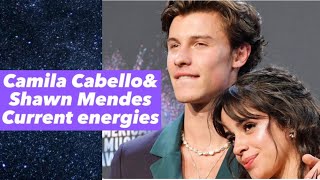 Camila Cabello amp Shawn Mendes Tarot Reading  The End📚 [upl. by Airotahs]