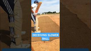 Deceived by Pace ft Vino Gopi cricket tamilcricket tamilshorts goprocricket gopro ytshorts [upl. by Naletak]