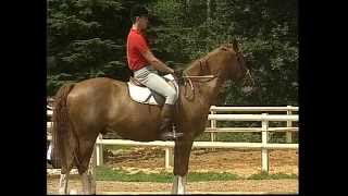 Equitation  Galop 1amp2  Cheval [upl. by Asina]