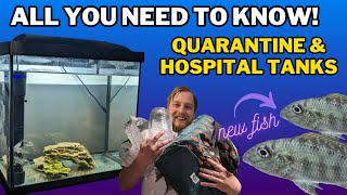 How to quarantine fish The DOS amp DONTS of Hospital tank setup medications and more [upl. by Mcleroy95]