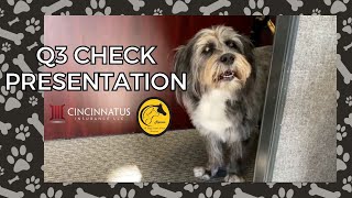 Q3 Check Presentation All Dogs Come From Heaven [upl. by Aratahs]