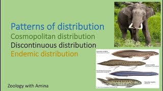 Patterns of animal distribution [upl. by Cad64]