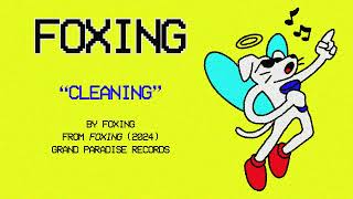 Foxing  Cleaning Official Lyric Video [upl. by Tigirb854]