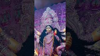 Maa go tumi sorbojonin  Durga maaDurgaPuja2024durgapujaspecialdurgamaadurgapujaBijoyaDashami [upl. by Emmeram]