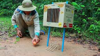 how to trap a rabbit [upl. by Gnex511]