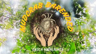 MudCrab Barehanded Catch Highlights  North Queensland Australia [upl. by Ybroc]