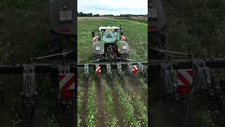 SPX Strip Till farming striptill notill regenerativeagriculture farm horizonagriculture [upl. by Audry497]