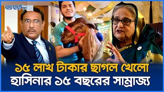 শেখ হাসিনার পতনের পেছনে দায়ী সাদিক এগ্রোর সেই ১৫ লাখ টাকার ছাগল  Sheikh Hasina  Jaijaidin News [upl. by Carmelle]