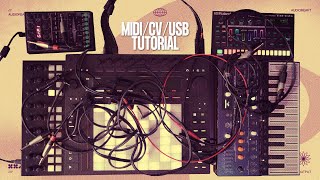 Ableton Push 3 Tutorial  Input amp Output CV Midi Usb [upl. by Anyak307]