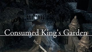 Dark Souls 3 100 Walkthrough Part 28  Consumed Kings Garden [upl. by Asilla432]