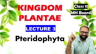 Pteridophyta Kingdom Plantae Lecture 3  Class 11 Biology  Maharashtra State Board [upl. by Eeram]