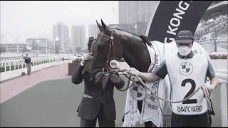 Horse racing Shatin HK [upl. by Rodoeht820]