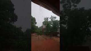 Pluie abondante sur Bamako  en direct [upl. by Mccarthy]