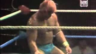 Hulk Hogan Promo and match Vs Dr D David Shultz from WWF Tuesday Night Titans 1984 [upl. by Perri]