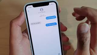 iPhone 11 Pro How to Know if SMS Text Message Has Been Delivered and View the Timeline [upl. by Earehs]